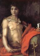 Andrea del Sarto Portrait of younger Joh oil on canvas